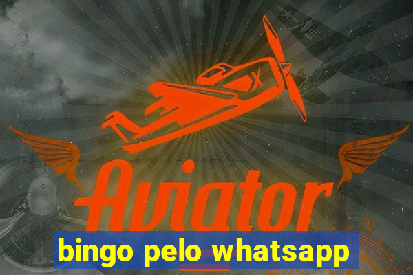 bingo pelo whatsapp